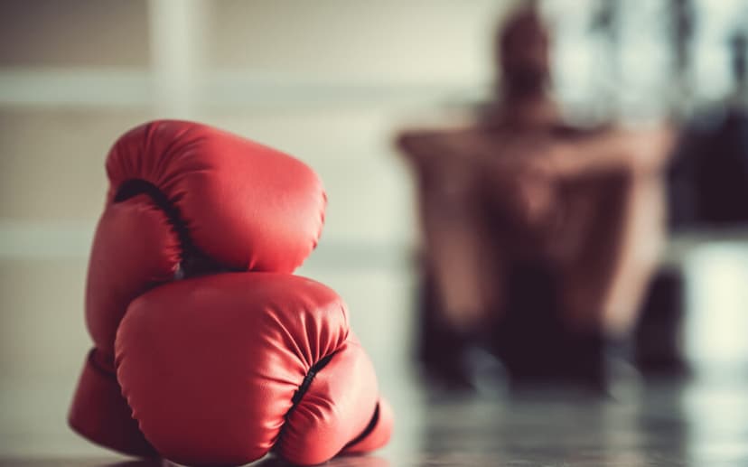 Hexagone MMA au Zénith de Paris — Deporte · Paris