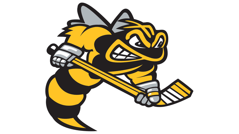 Sarnia Sting vs. Flint Firebirds — Sports · Sarnia