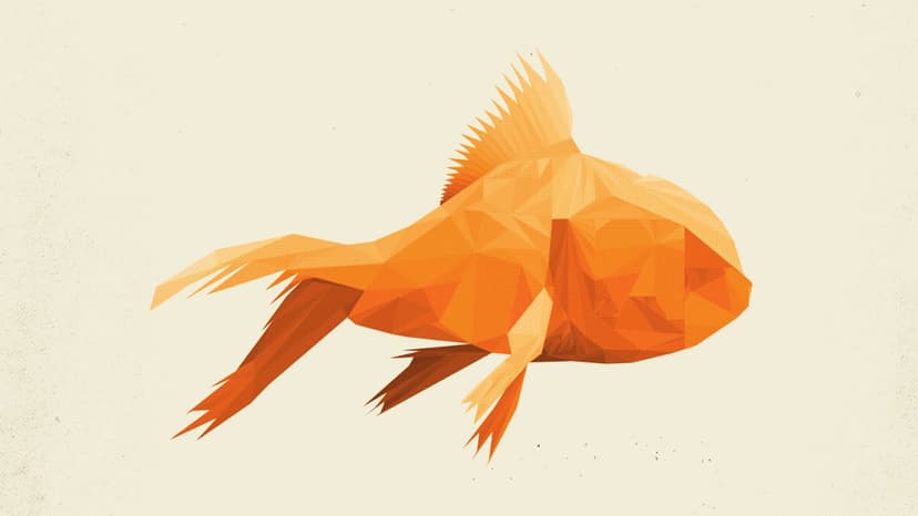 GoldFish — Music · Amsterdam