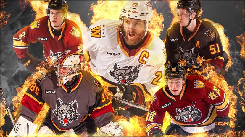 Chicago Wolves V Milwaukee Admirals — Sports · Rosemont