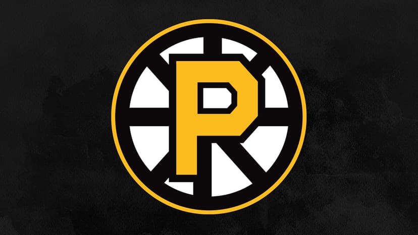 Providence Bruins vs. Springfield Thunderbirds — Sports · Providence