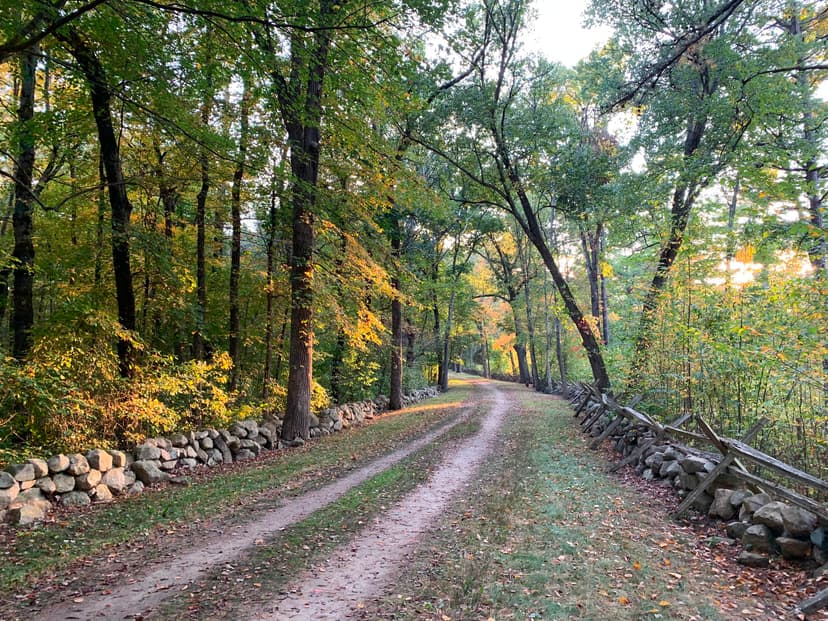Memories of Elm Brook Hill