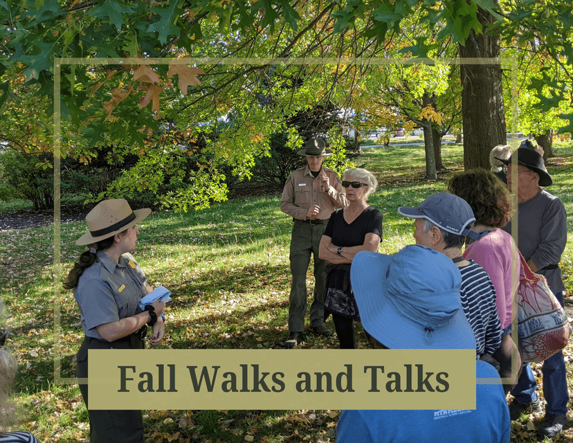 Fall Walks and Talks: Social Clubs, Impressionism, and Olmsted — Outdoors · Brookline