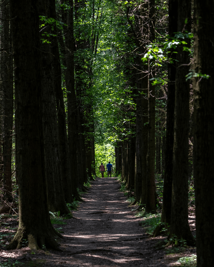 Nature Rx: Yoga Hike at Oak Hill Trailhead