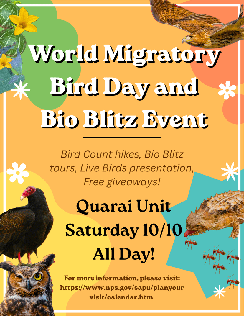 Celebrate World Migratory Bird Day with Salinas Pueblo Missions! — Outdoors · Mountainair