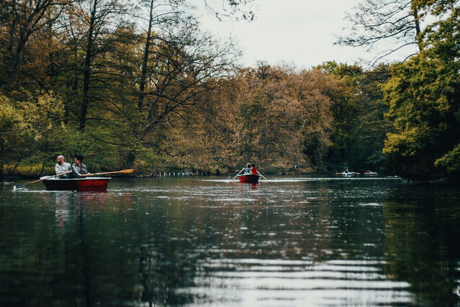 Rowboats on a tranquil tree-lined lake