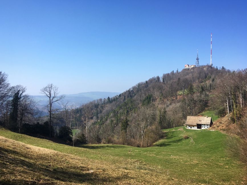 Uetliberg hill with its tower on a clear day